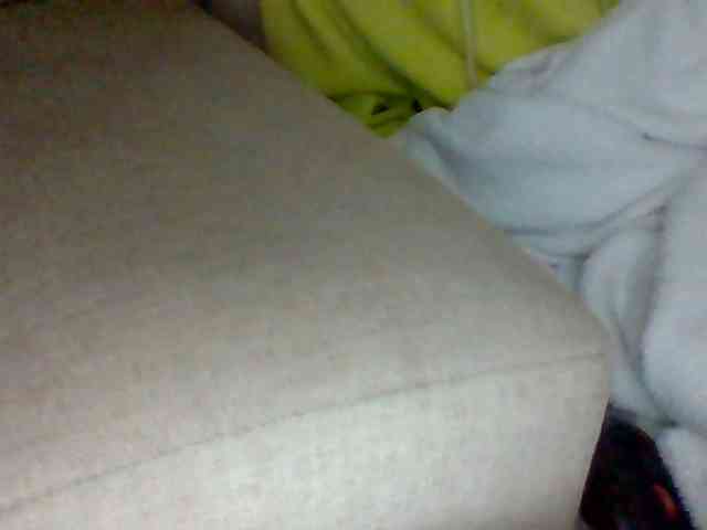 Dollie webcam