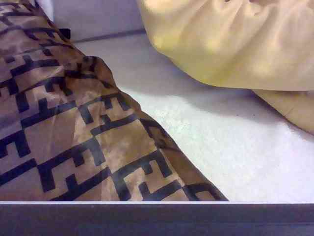 Dollie webcam