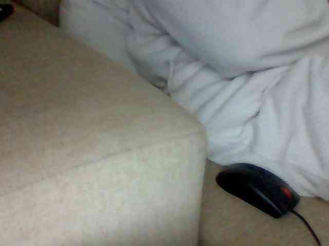 Dollie webcam