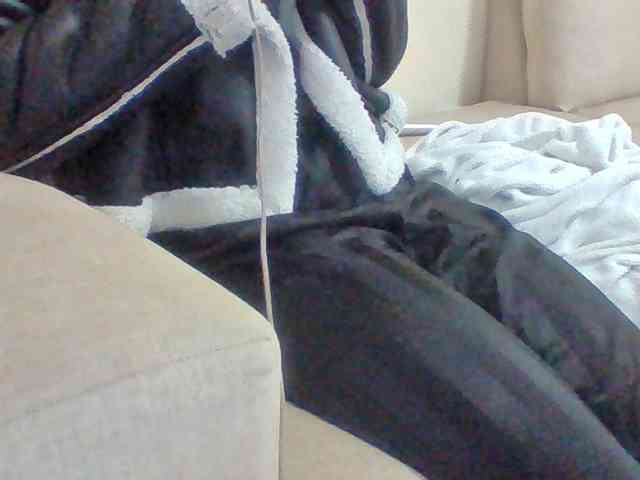 Dollie webcam