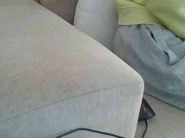 Dollie webcam