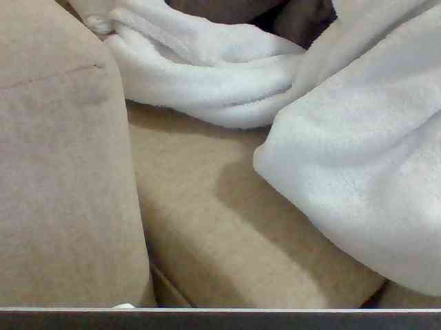 Dollie webcam