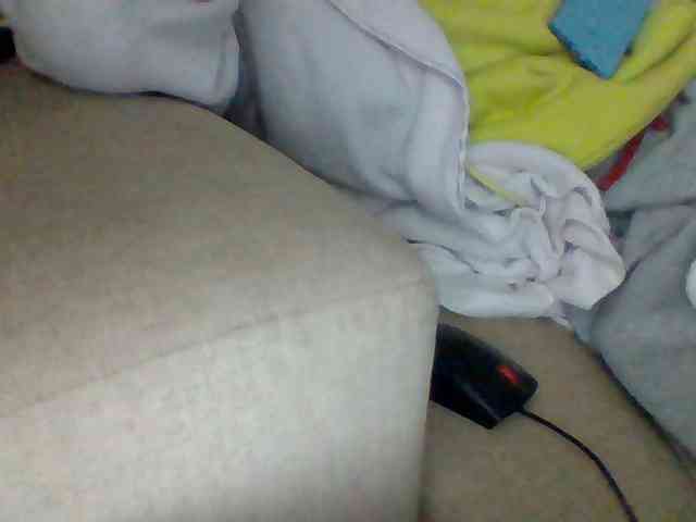 Dollie webcam