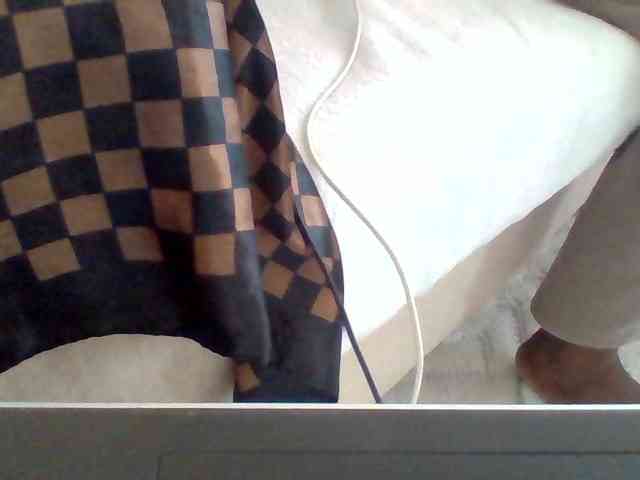 Dollie webcam