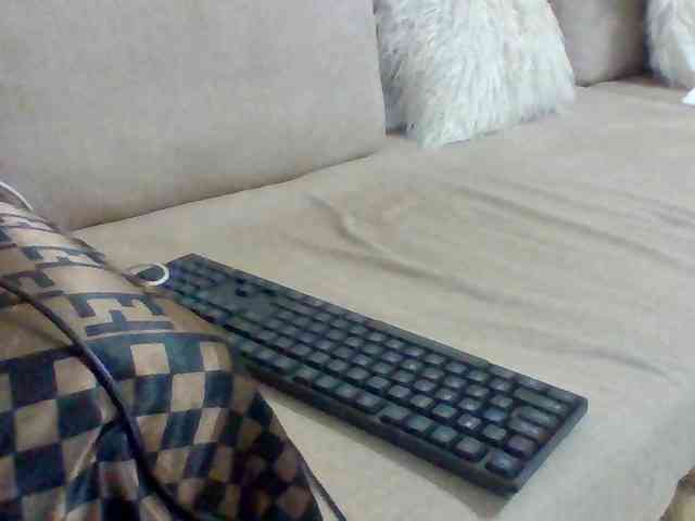 Dollie webcam