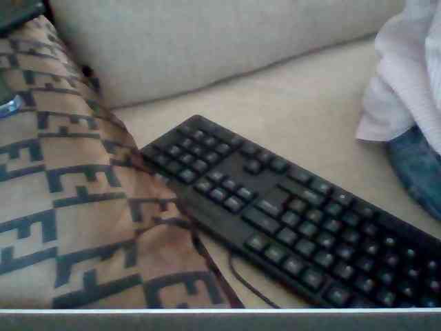 Dollie webcam