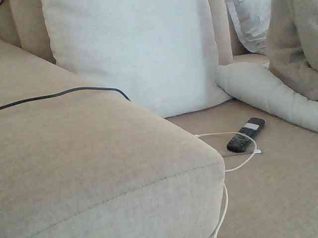 Dollie webcam