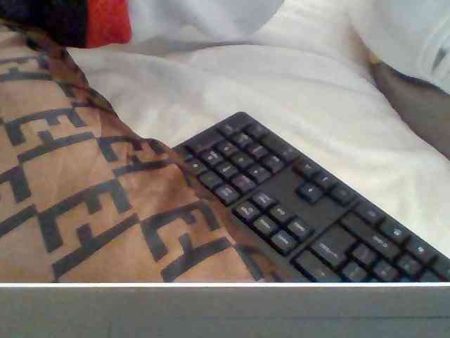 Dollie webcam