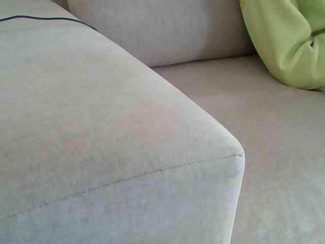 Dollie webcam