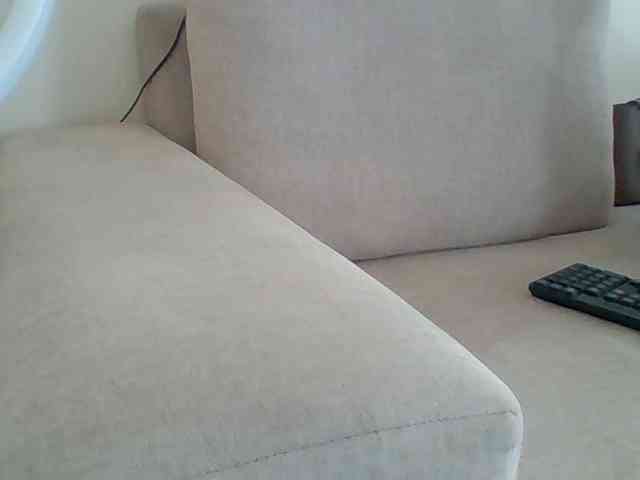 Dollie webcam