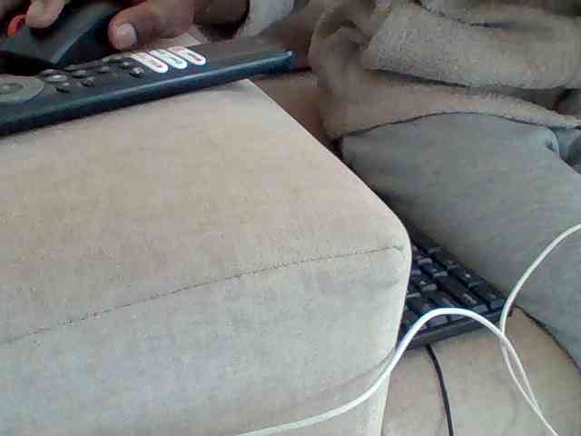 Dollie webcam