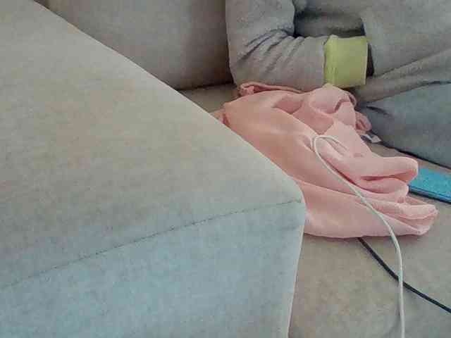 Dollie webcam