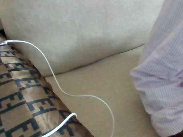 Dollie webcam