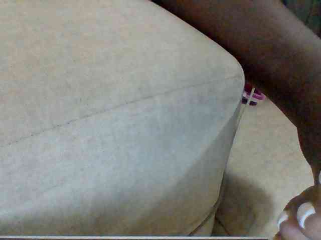 Dollie webcam