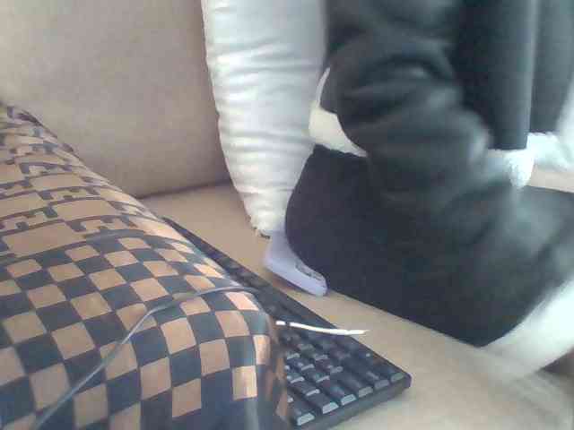 Dollie webcam