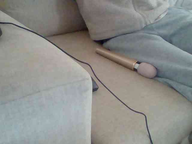 Dollie webcam