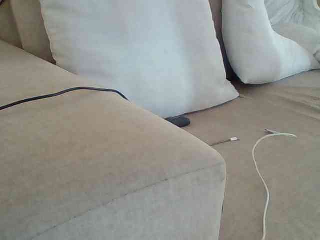 Dollie webcam