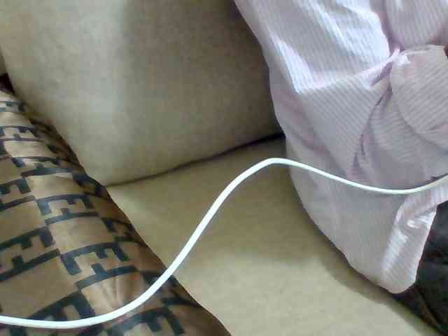 Dollie webcam