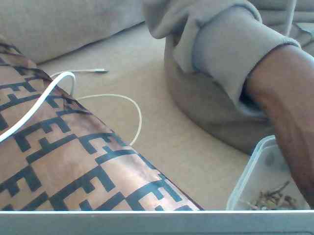 Dollie webcam