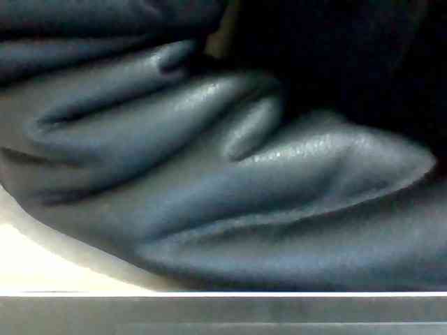 Dollie webcam