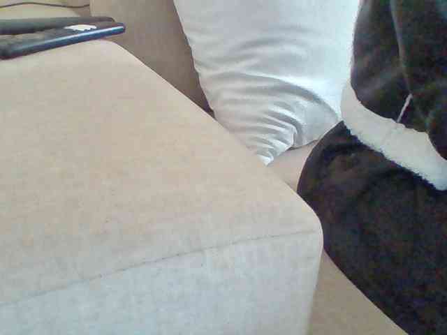 Dollie webcam