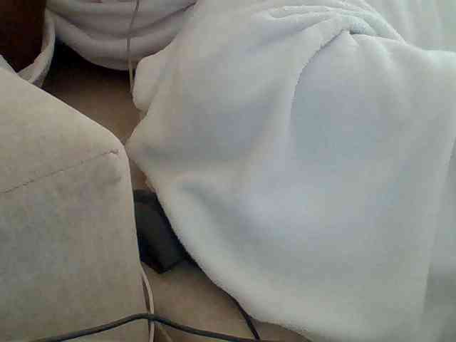 Dollie webcam