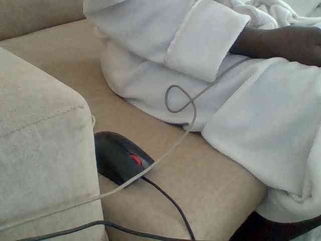 Dollie webcam