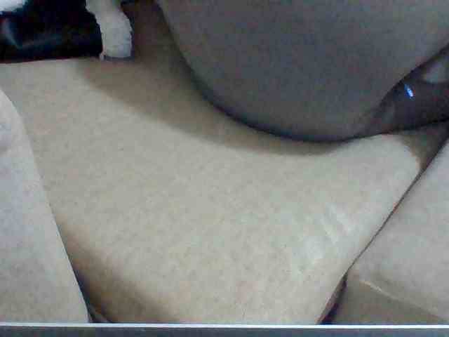 Dollie webcam