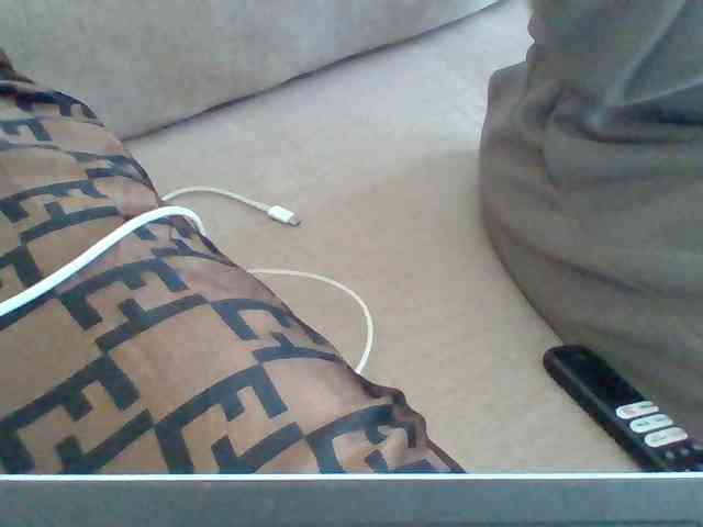 Dollie webcam