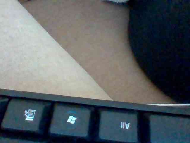 Dollie webcam