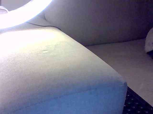 Dollie webcam