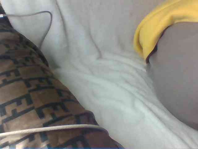 Dollie webcam