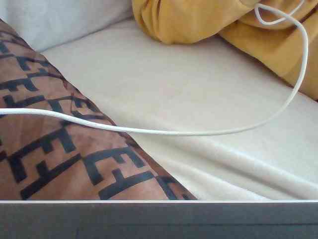 Dollie webcam