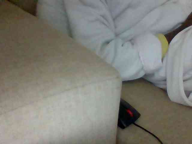 Dollie webcam