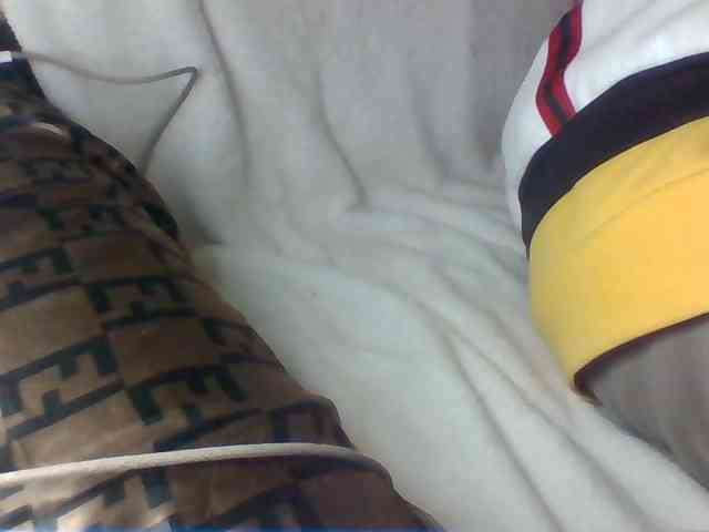 Dollie webcam