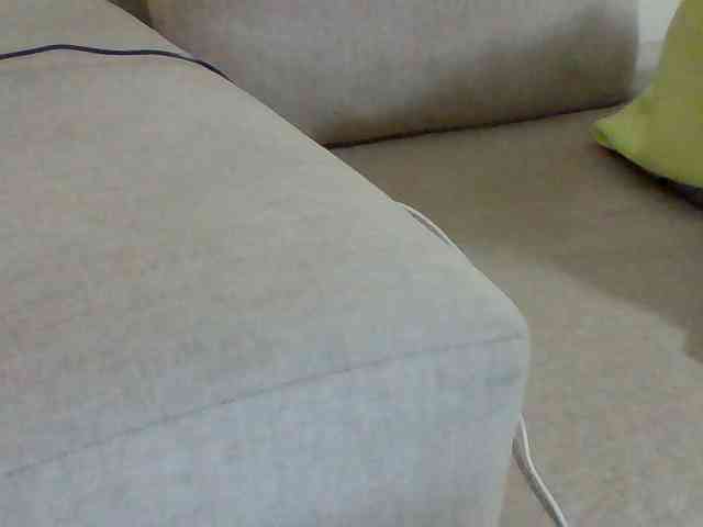 Dollie webcam