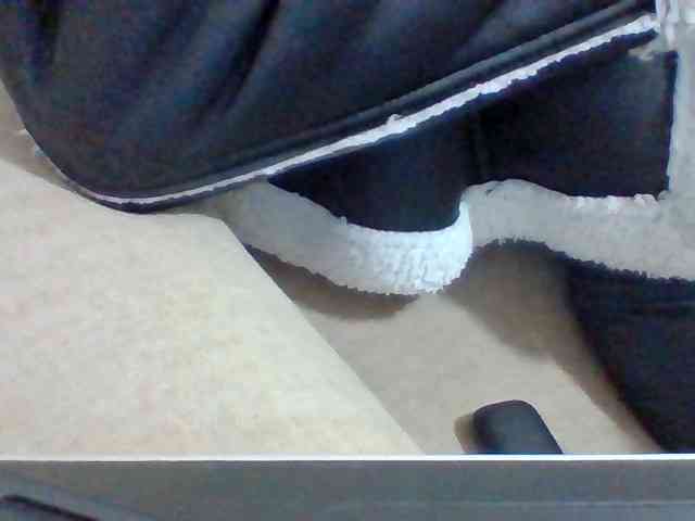 Dollie webcam