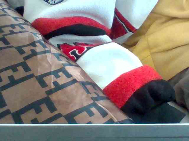 Dollie webcam