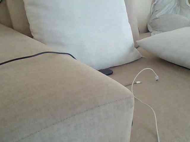 Dollie webcam