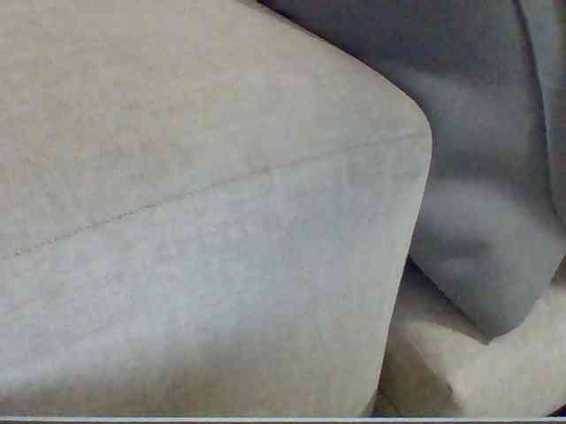 Dollie webcam