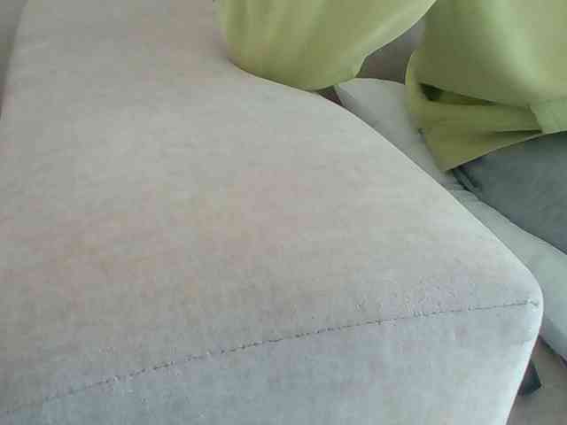Dollie webcam