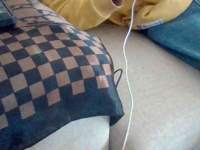 Dollie webcam
