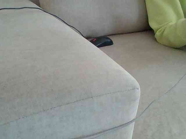 Dollie webcam