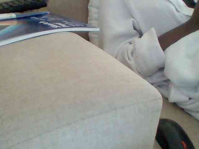 Dollie webcam