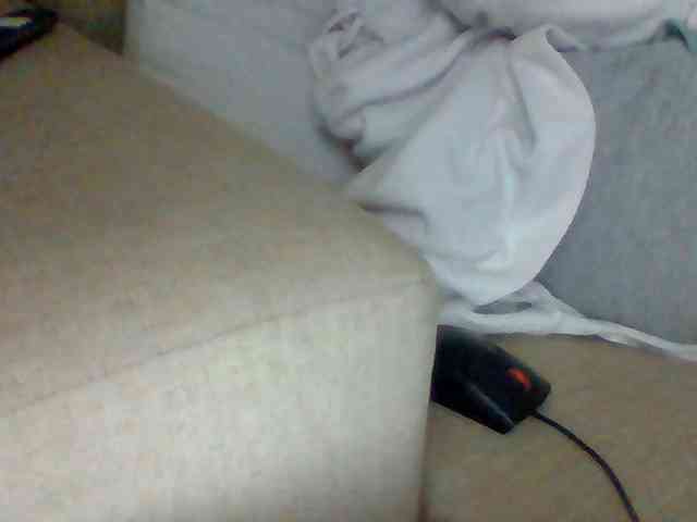 Dollie webcam