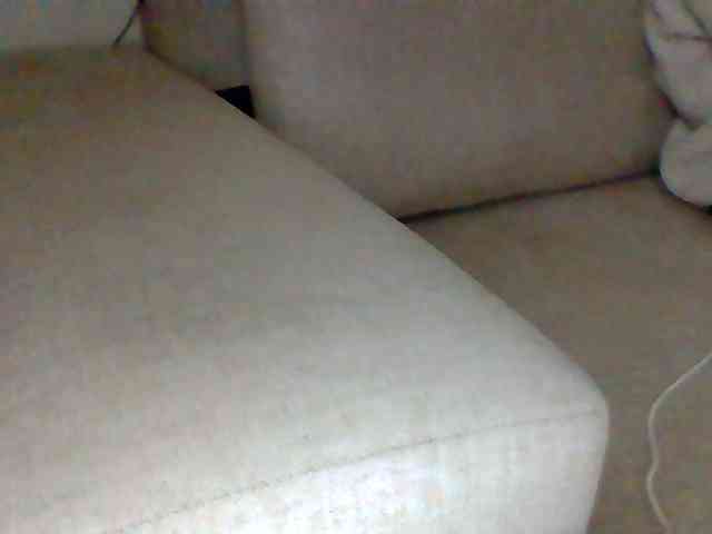 Dollie webcam