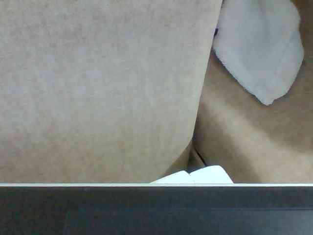 Dollie webcam