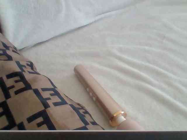 Dollie webcam