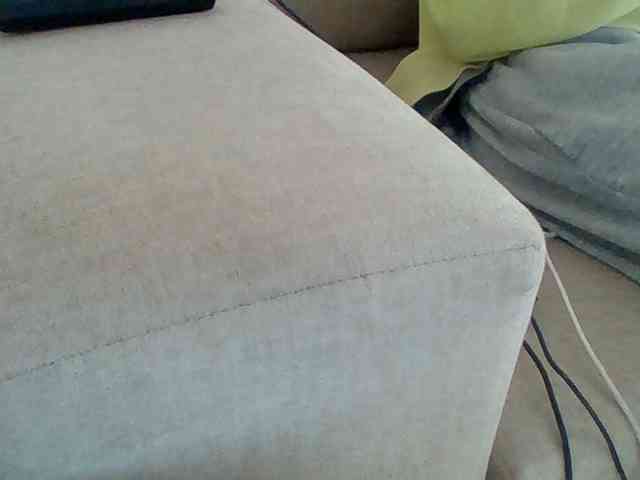 Dollie webcam