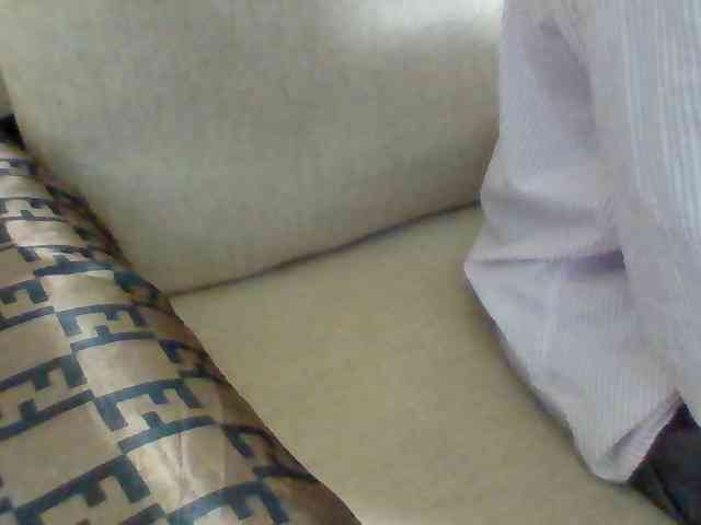 Dollie webcam